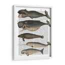 Cinco Ballenas Vintage - Fab Funky | Cuadro decorativo de Canvas Lab