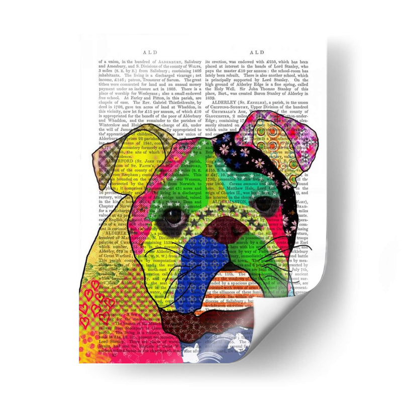 Patchwork Bulldog - Fab Funky | Cuadro decorativo de Canvas Lab