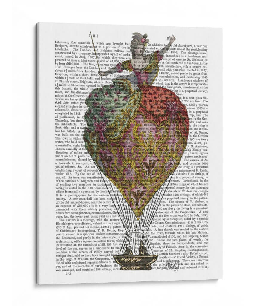 Mujer De Globo De Aire Caliente 3 - Fab Funky | Cuadro decorativo de Canvas Lab
