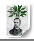 Aspidistra Cabeza Cabeza Cabeza - Fab Funky | Cuadro decorativo de Canvas Lab
