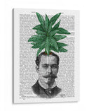 Cabeza De Planta De Cabeza De Hoja Perenne China - Fab Funky | Cuadro decorativo de Canvas Lab