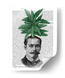 Cabeza De Planta De Cabeza De Hoja Perenne China - Fab Funky | Cuadro decorativo de Canvas Lab