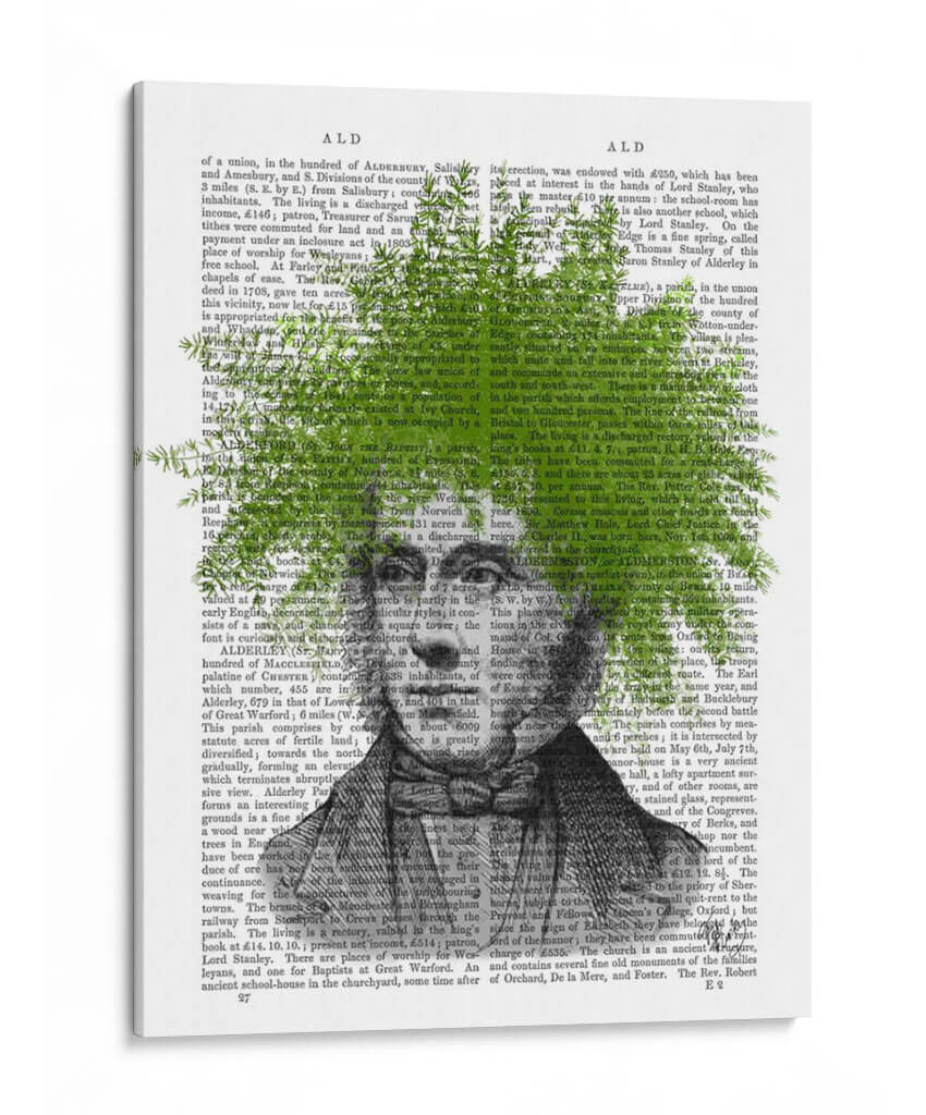 Espárragos Fern Head Plant Head - Fab Funky | Cuadro decorativo de Canvas Lab
