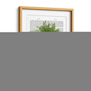 Espárragos Fern Head Plant Head - Fab Funky | Cuadro decorativo de Canvas Lab