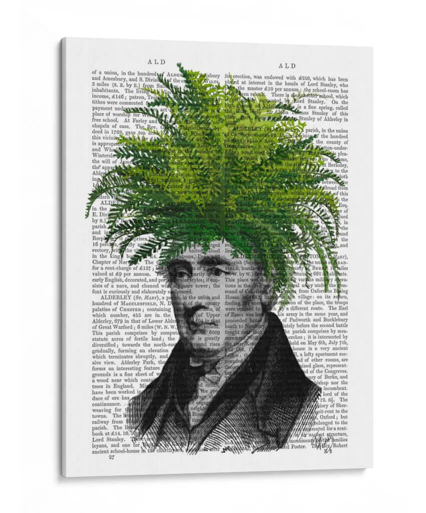Cabeza De La Planta De Cabeza De Helecho - Fab Funky | Cuadro decorativo de Canvas Lab