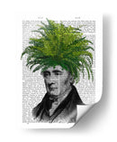 Cabeza De La Planta De Cabeza De Helecho - Fab Funky | Cuadro decorativo de Canvas Lab