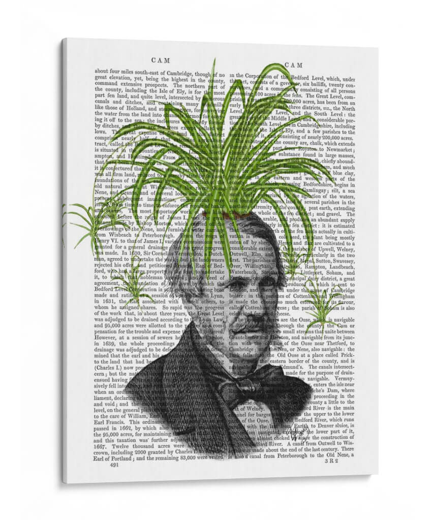 Cabeza De Planta De Araña - Fab Funky | Cuadro decorativo de Canvas Lab