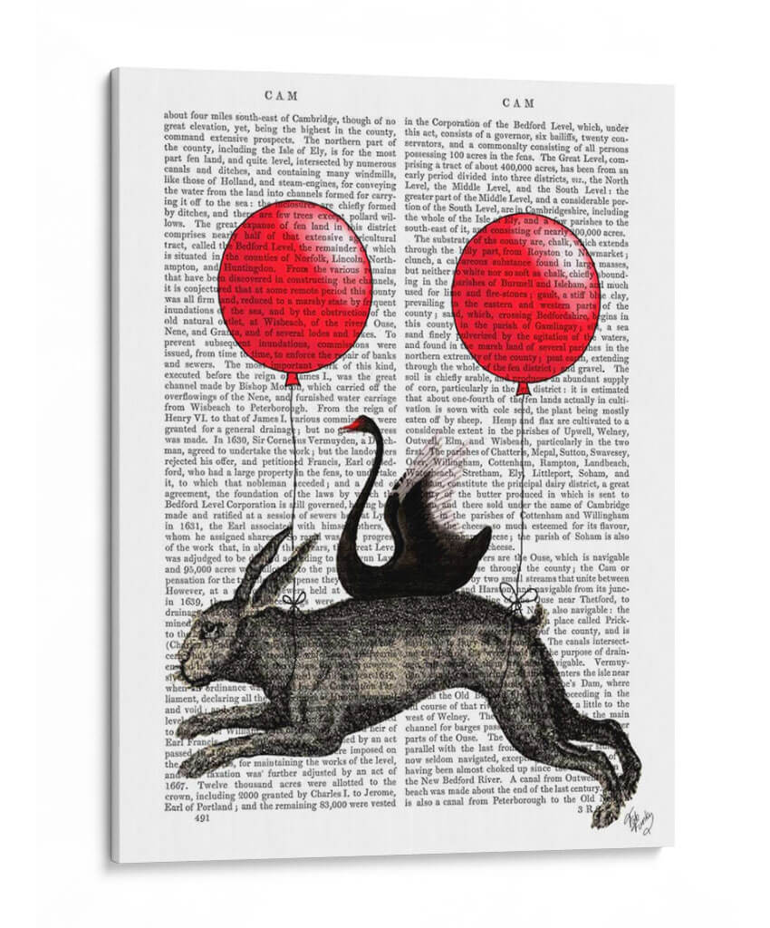 La Liebre - Fab Funky | Cuadro decorativo de Canvas Lab