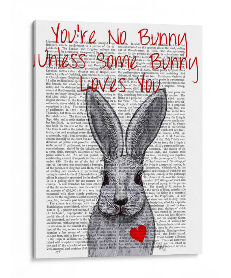 No Eres Conejo - Fab Funky | Cuadro decorativo de Canvas Lab