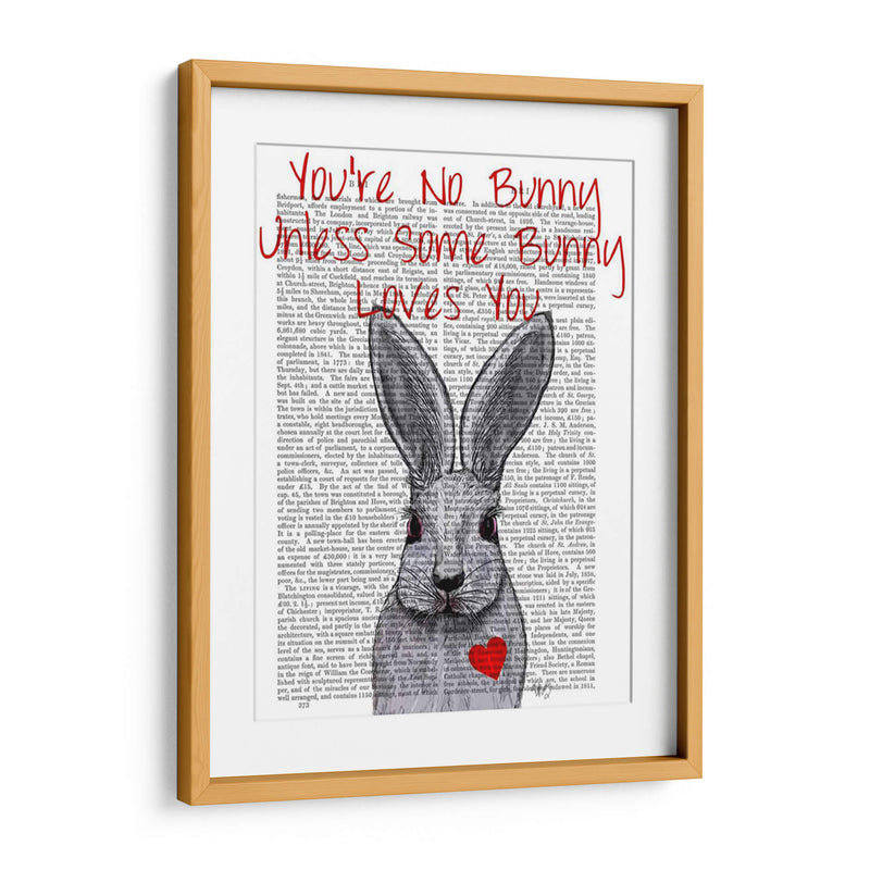No Eres Conejo - Fab Funky | Cuadro decorativo de Canvas Lab