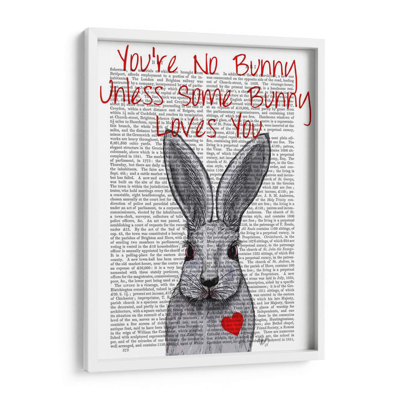 No Eres Conejo - Fab Funky | Cuadro decorativo de Canvas Lab