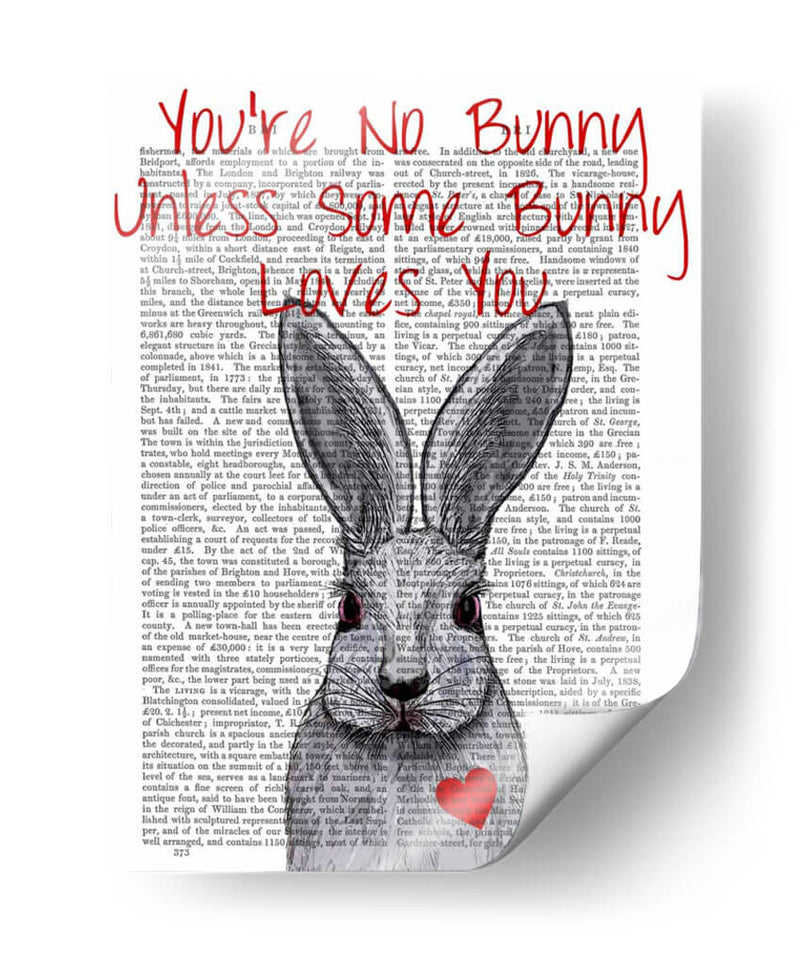 No Eres Conejo - Fab Funky | Cuadro decorativo de Canvas Lab