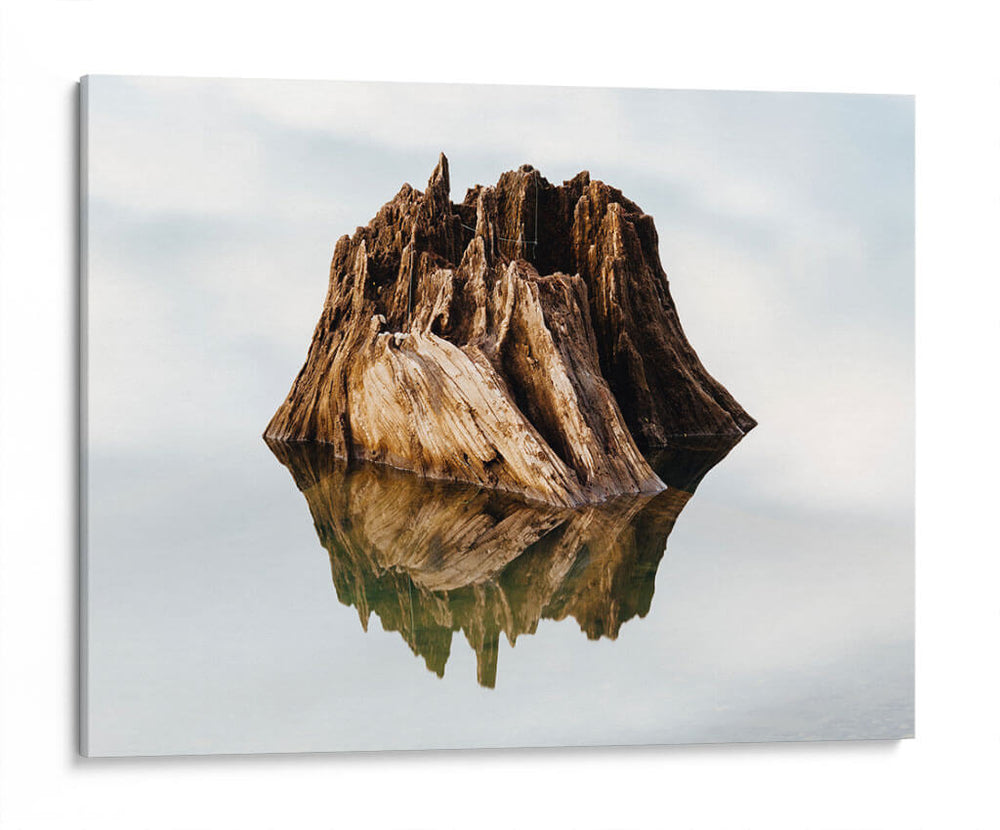 Un reflejo preciso | Cuadro decorativo de Canvas Lab