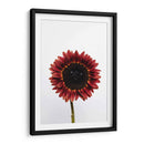 Una flor para ti | Cuadro decorativo de Canvas Lab