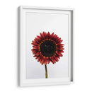 Una flor para ti | Cuadro decorativo de Canvas Lab