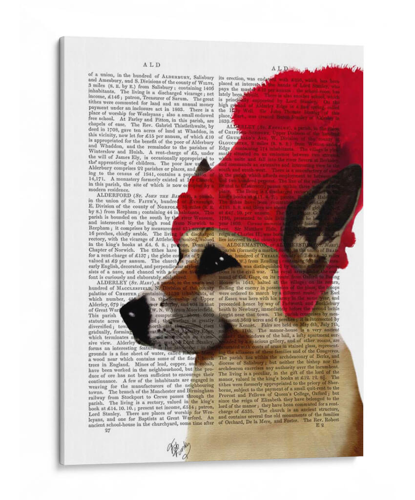 Pastor Alemán En Sombrero Lanudo Rojo - Fab Funky | Cuadro decorativo de Canvas Lab