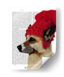 Pastor Alemán En Sombrero Lanudo Rojo - Fab Funky | Cuadro decorativo de Canvas Lab