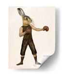 Liebre De Boxeo - Fab Funky | Cuadro decorativo de Canvas Lab