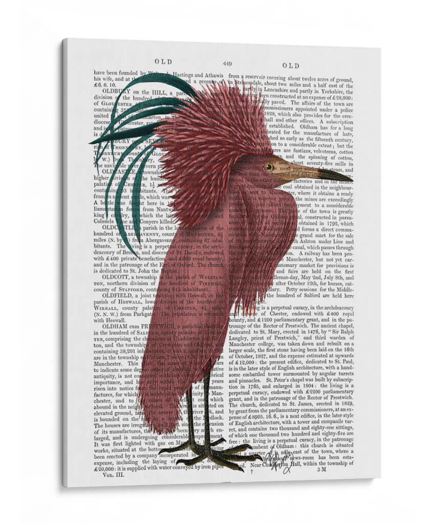 Pájaro Marsala Con Cresta - Fab Funky | Cuadro decorativo de Canvas Lab