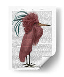 Pájaro Marsala Con Cresta - Fab Funky | Cuadro decorativo de Canvas Lab