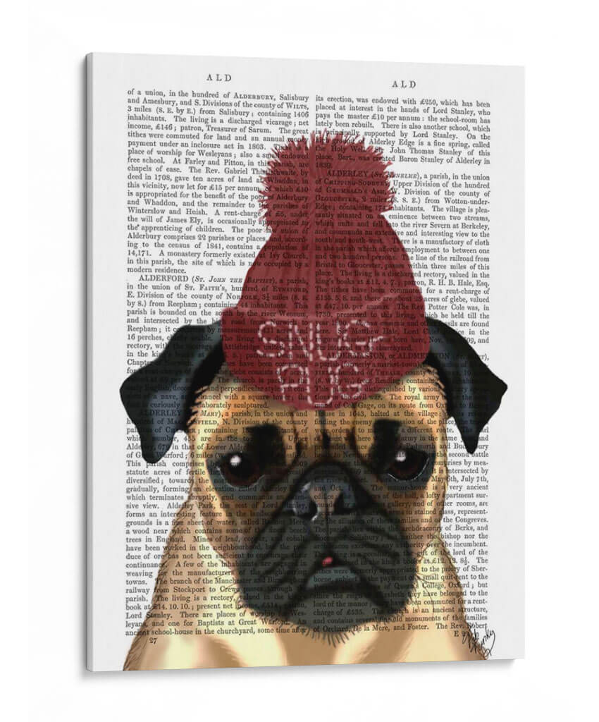 Pug Snug - Fab Funky | Cuadro decorativo de Canvas Lab