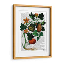 Squash Vid 1 - Fab Funky | Cuadro decorativo de Canvas Lab