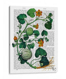 Squash Vid 2 - Fab Funky | Cuadro decorativo de Canvas Lab