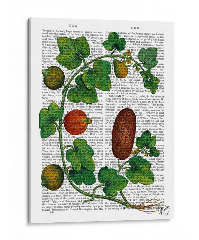 Squash Vine 3 - Fab Funky | Cuadro decorativo de Canvas Lab