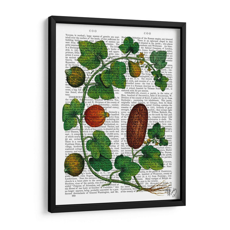 Squash Vine 3 - Fab Funky | Cuadro decorativo de Canvas Lab