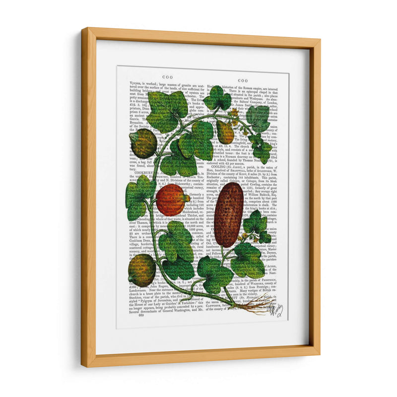 Squash Vine 3 - Fab Funky | Cuadro decorativo de Canvas Lab