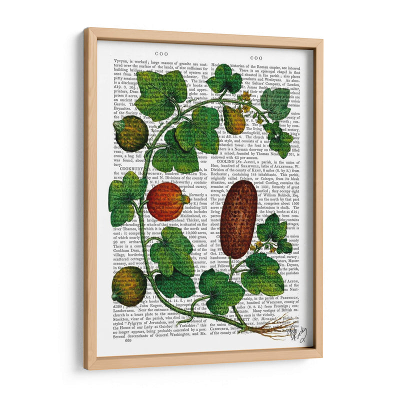 Squash Vine 3 - Fab Funky | Cuadro decorativo de Canvas Lab