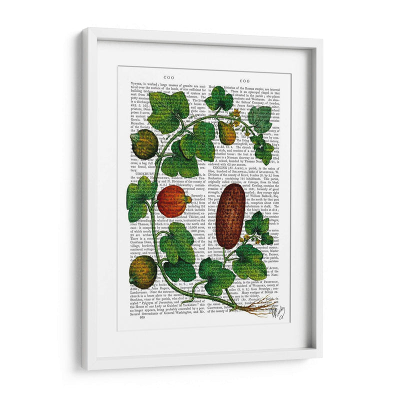 Squash Vine 3 - Fab Funky | Cuadro decorativo de Canvas Lab