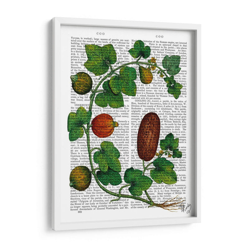 Squash Vine 3 - Fab Funky | Cuadro decorativo de Canvas Lab