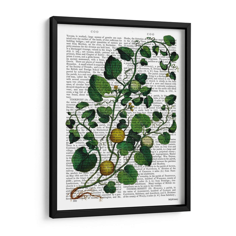 Squash Vine 4 - Fab Funky | Cuadro decorativo de Canvas Lab