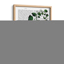 Squash Vine 4 - Fab Funky | Cuadro decorativo de Canvas Lab