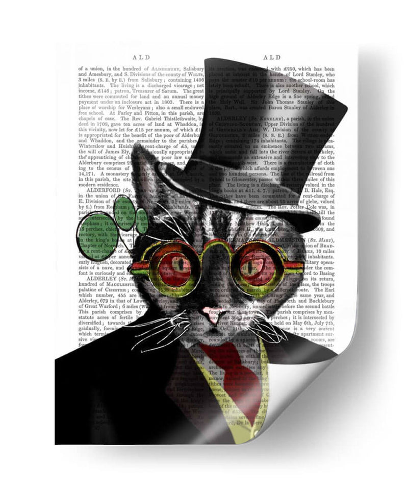 Steampunk Cat - Sombrero De Copa Y Gafas Amarillas Rojas - Fab Funky | Cuadro decorativo de Canvas Lab