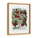 Planta De Tomate - Fab Funky | Cuadro decorativo de Canvas Lab