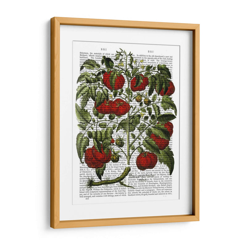 Planta De Tomate - Fab Funky | Cuadro decorativo de Canvas Lab