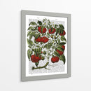 Planta De Tomate - Fab Funky | Cuadro decorativo de Canvas Lab