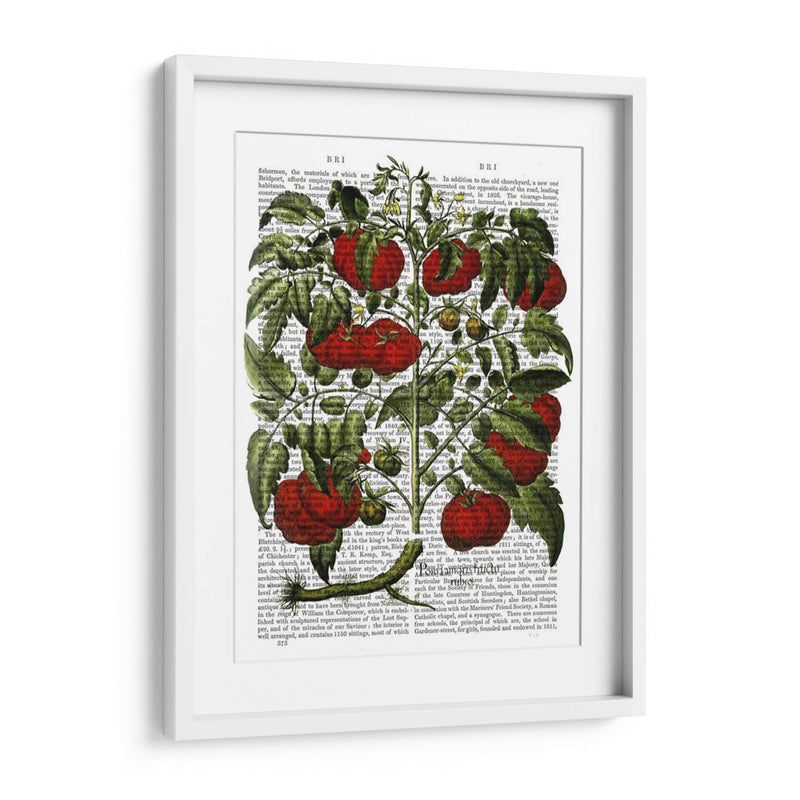 Planta De Tomate - Fab Funky | Cuadro decorativo de Canvas Lab