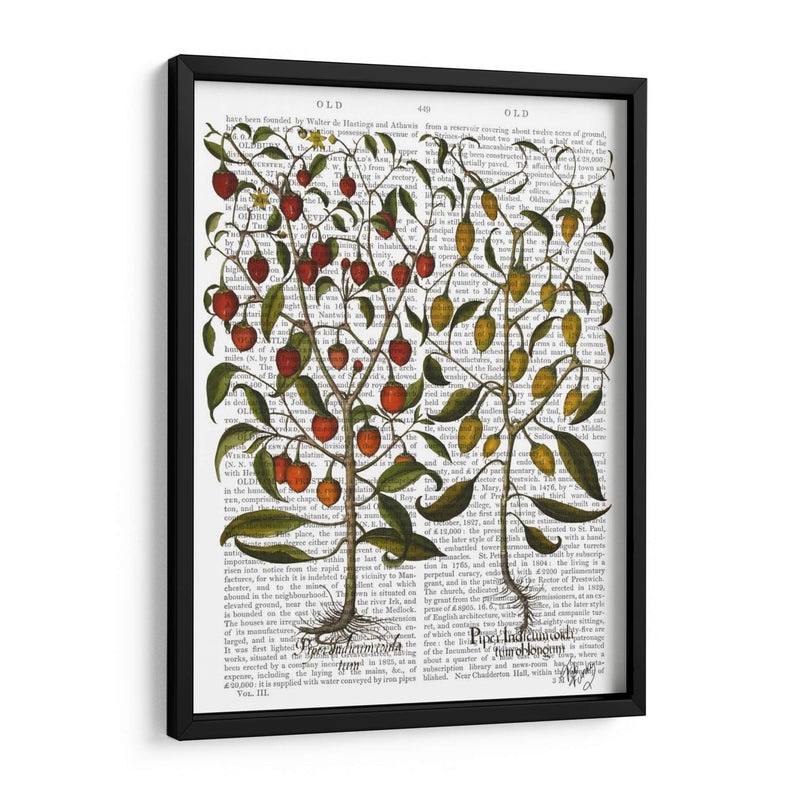 Peppers 1 - Fab Funky | Cuadro decorativo de Canvas Lab