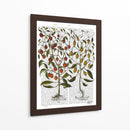Peppers 1 - Fab Funky | Cuadro decorativo de Canvas Lab