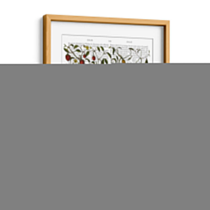 Peppers 1 - Fab Funky | Cuadro decorativo de Canvas Lab