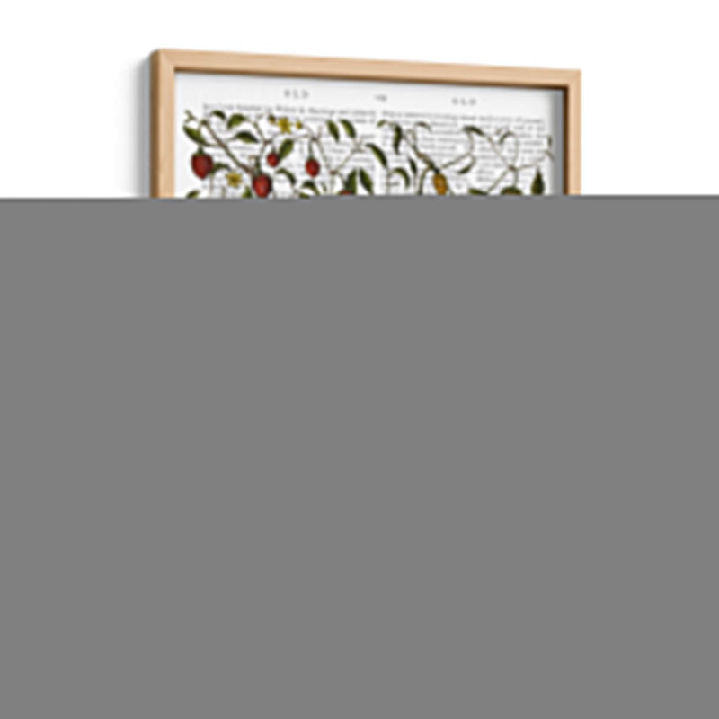 Peppers 1 - Fab Funky | Cuadro decorativo de Canvas Lab