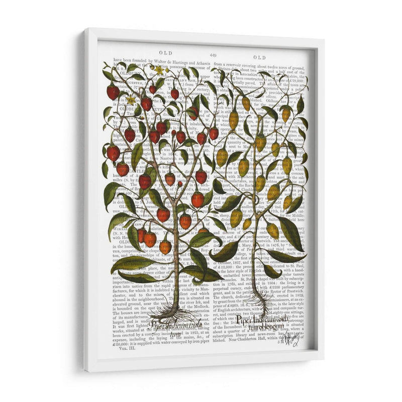 Peppers 1 - Fab Funky | Cuadro decorativo de Canvas Lab