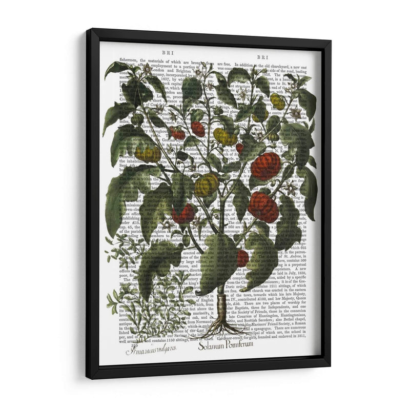 Peppers 2 - Fab Funky | Cuadro decorativo de Canvas Lab