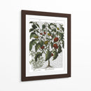 Peppers 2 - Fab Funky | Cuadro decorativo de Canvas Lab