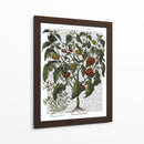 Peppers 2 - Fab Funky | Cuadro decorativo de Canvas Lab