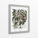 Peppers 2 - Fab Funky | Cuadro decorativo de Canvas Lab