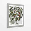 Peppers 2 - Fab Funky | Cuadro decorativo de Canvas Lab